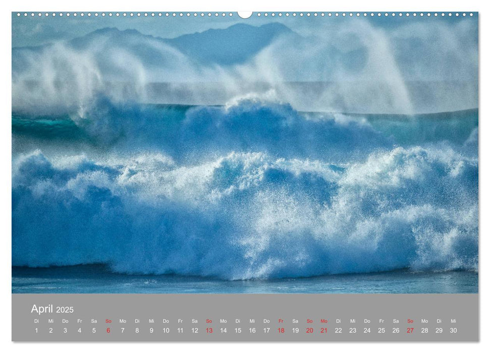 SPIRIT OF HAWAII (CALVENDO Premium Wandkalender 2025)