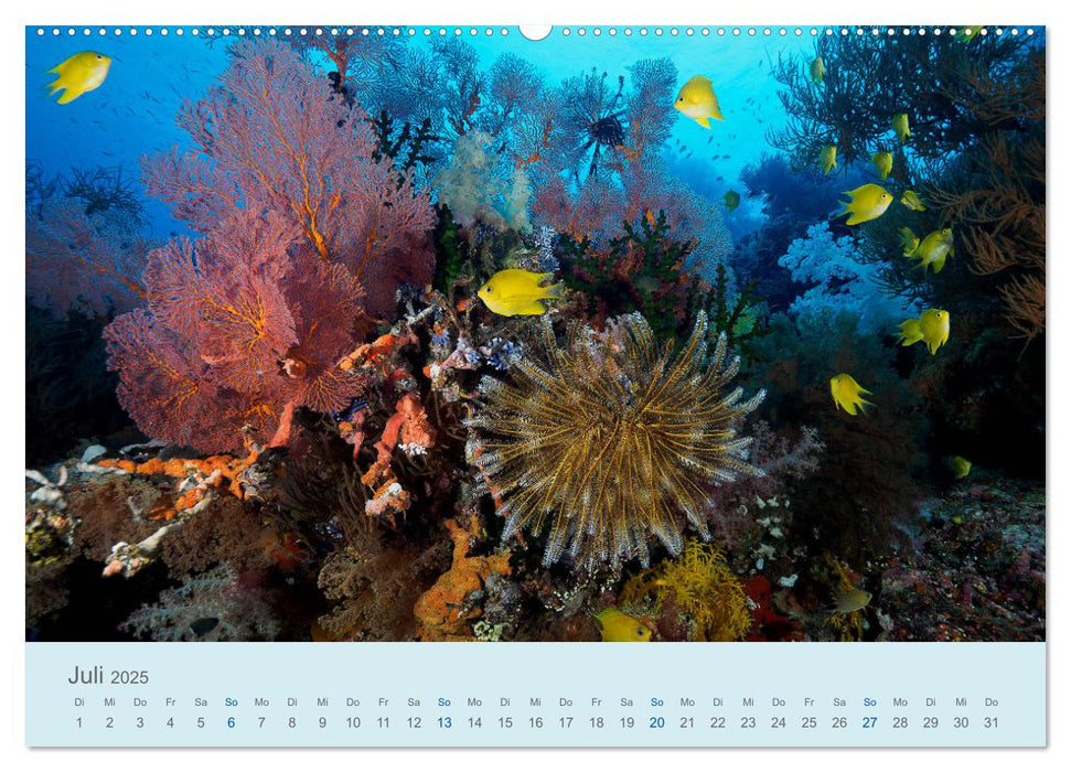 Abenteuer Unterwasser (CALVENDO Premium Wandkalender 2025)