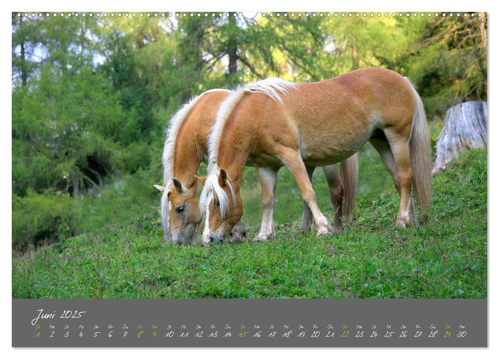 Romantisches Südtirol (CALVENDO Premium Wandkalender 2025)