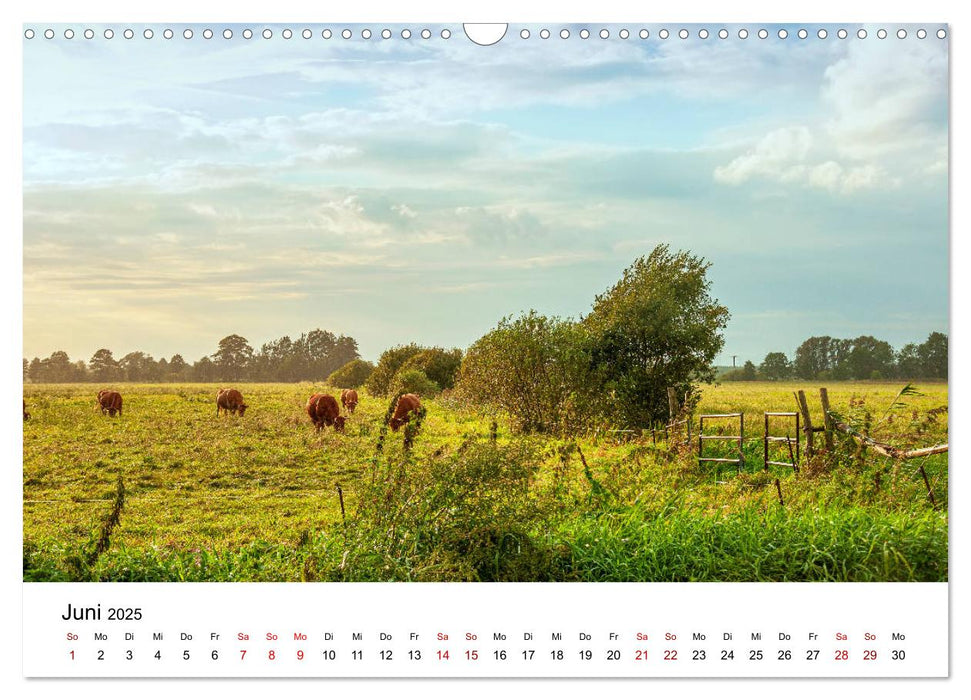 Unterwegs im Spreewald (CALVENDO Wandkalender 2025)