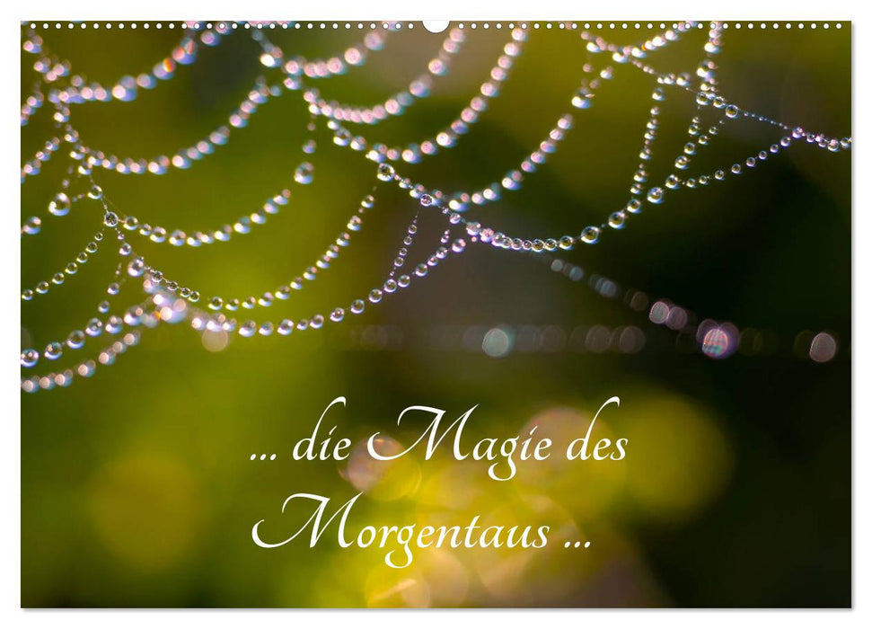 ... die Magie des Morgentaus ... (CALVENDO Wandkalender 2025)