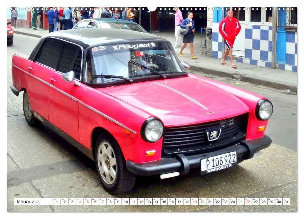 PEUGEOT 404 - Frankreichs Mercedes in Kuba (CALVENDO Wandkalender 2025)