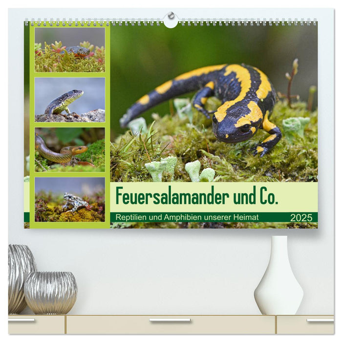 Feuersalamander und Co. (CALVENDO Premium Wandkalender 2025)