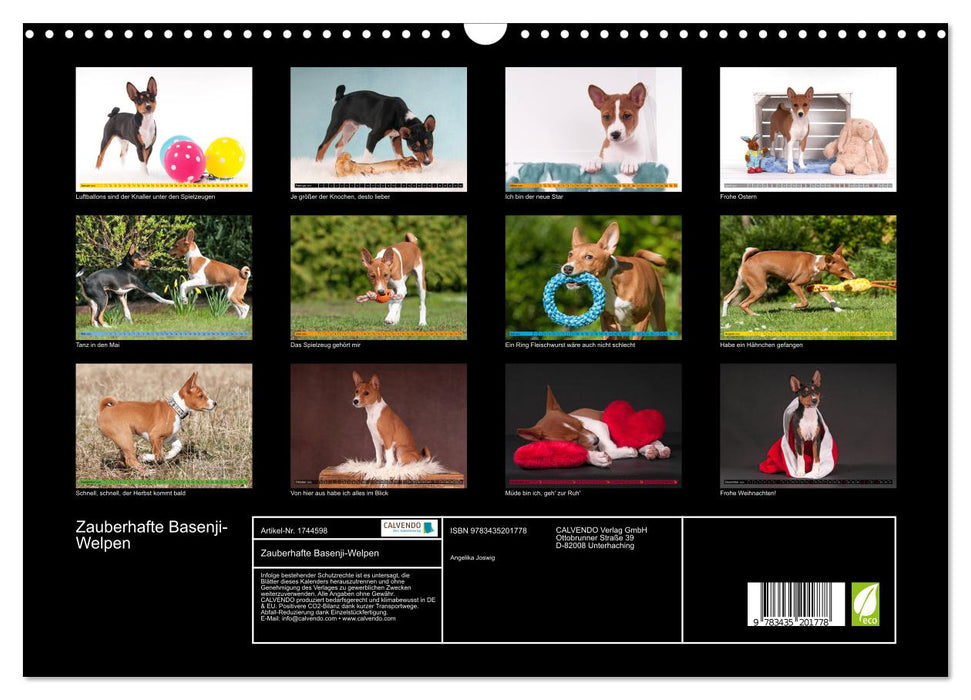 Zauberhafte Basenji-Welpen (CALVENDO Wandkalender 2025)