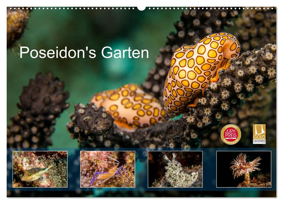 Poseidon's Garten (CALVENDO Wandkalender 2025)
