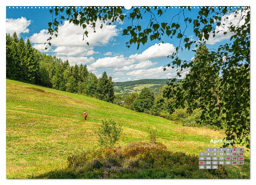 Markneukirchen - Musik & Landschaft einer Region (CALVENDO Premium Wandkalender 2025)