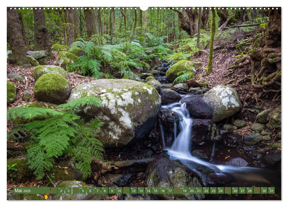 La Gomera - Vielseitige Insel (CALVENDO Premium Wandkalender 2025)