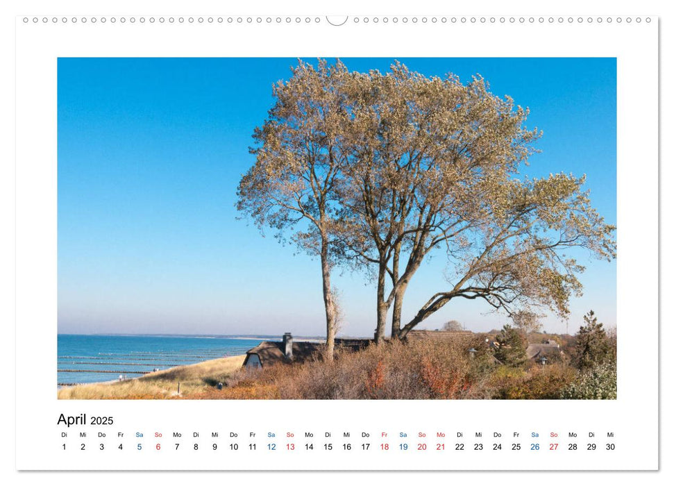 Mehr vom Meer: Sehnsuchtskalender für Ostseeliebhaber (CALVENDO Premium Wandkalender 2025)