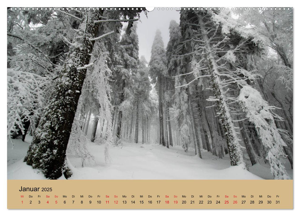 Landschaften im Elsass (CALVENDO Premium Wandkalender 2025)