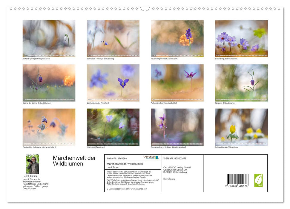 Märchenwelt der Wildblumen (CALVENDO Premium Wandkalender 2025)