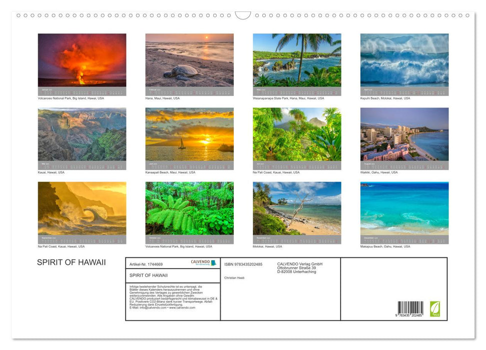 SPIRIT OF HAWAII (CALVENDO Wandkalender 2025)