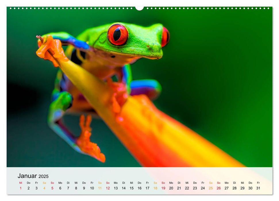 Costa Rica - Cocos Island (CALVENDO Premium Wandkalender 2025)