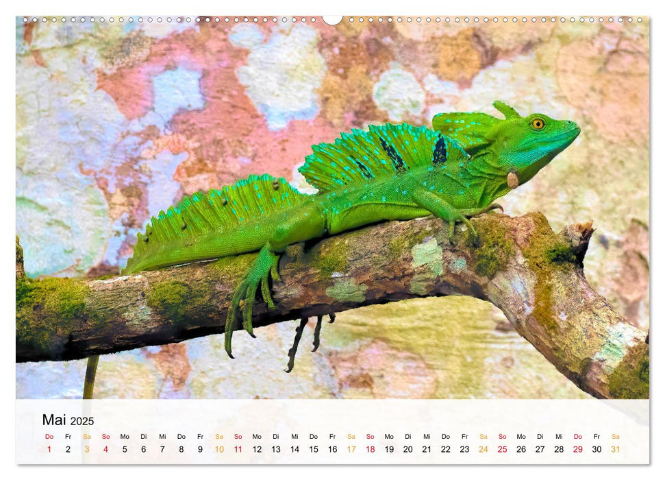 Costa Rica - Cocos Island (CALVENDO Premium Wandkalender 2025)