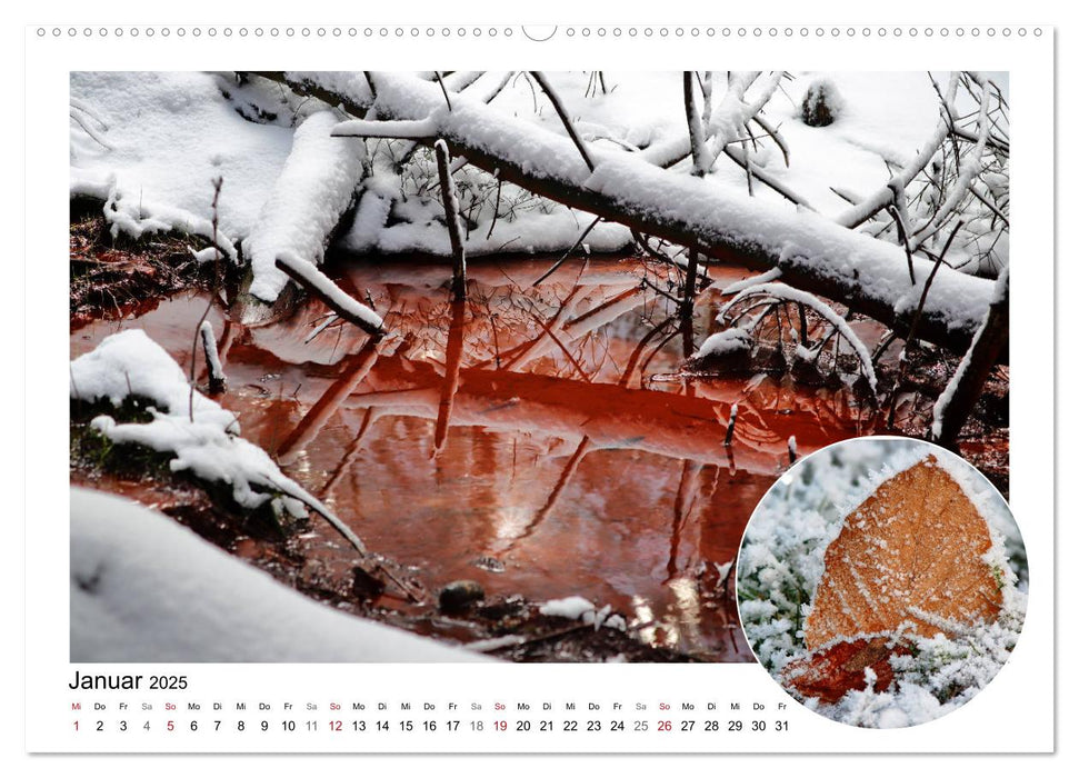 Vier Jahreszeiten, Nieste (CALVENDO Wandkalender 2025)
