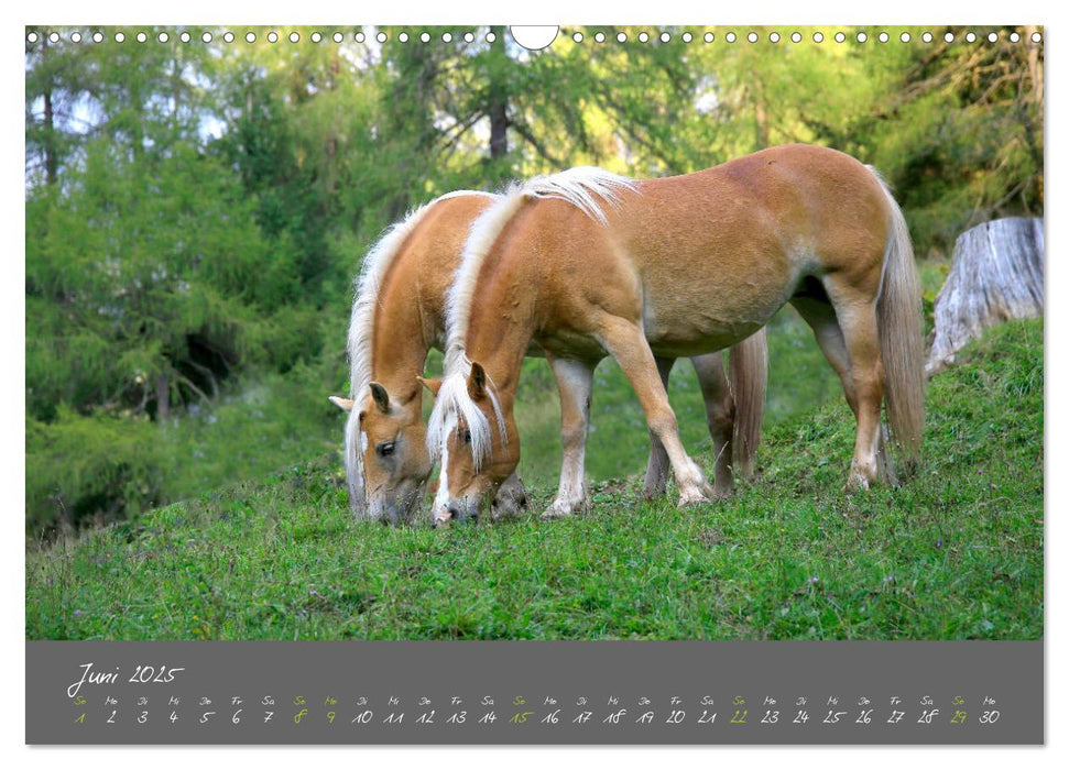 Romantisches Südtirol (CALVENDO Wandkalender 2025)