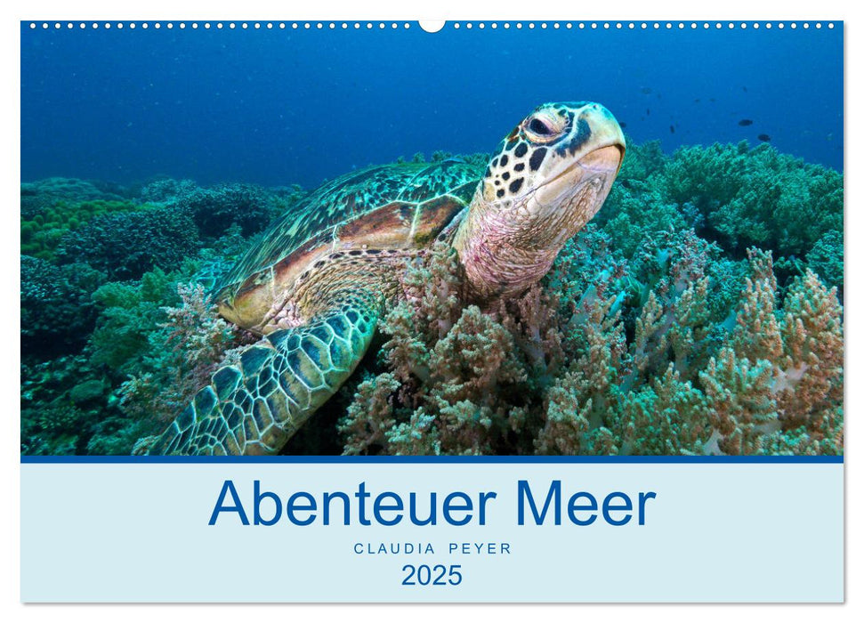 Abenteuer Unterwasser (CALVENDO Wandkalender 2025)