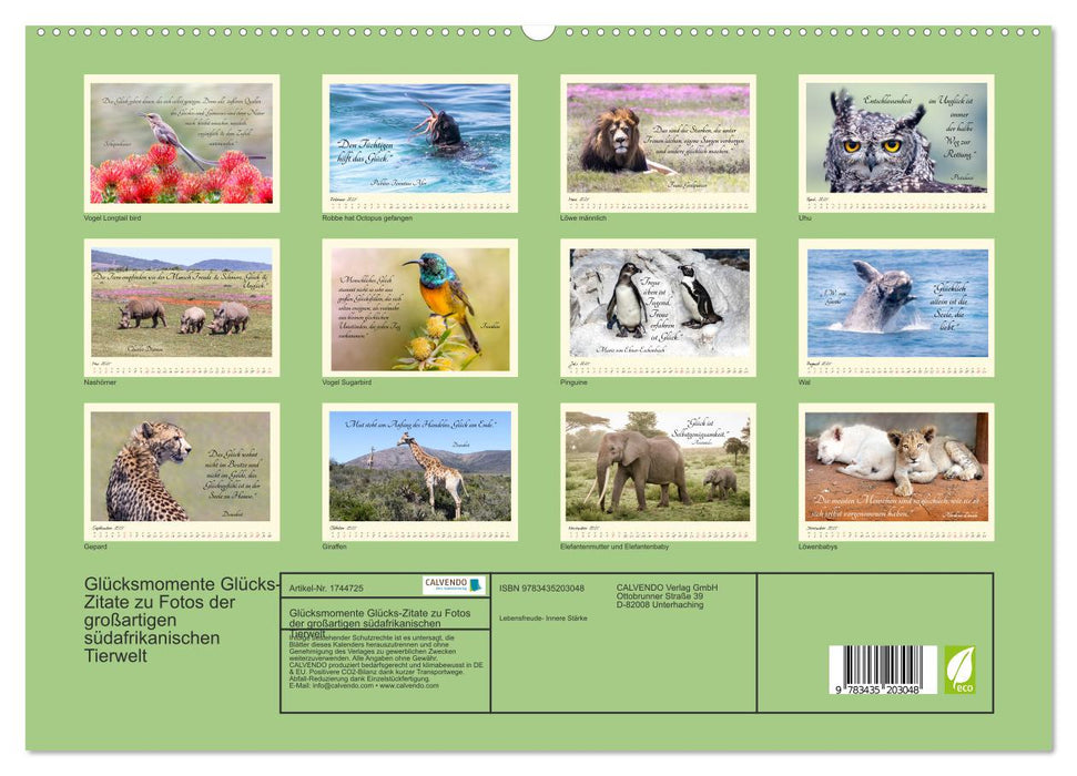 Glücksmomente Glücks-Zitate zu Fotos der großartigen südafrikanischen Tierwelt (CALVENDO Premium Wandkalender 2025)