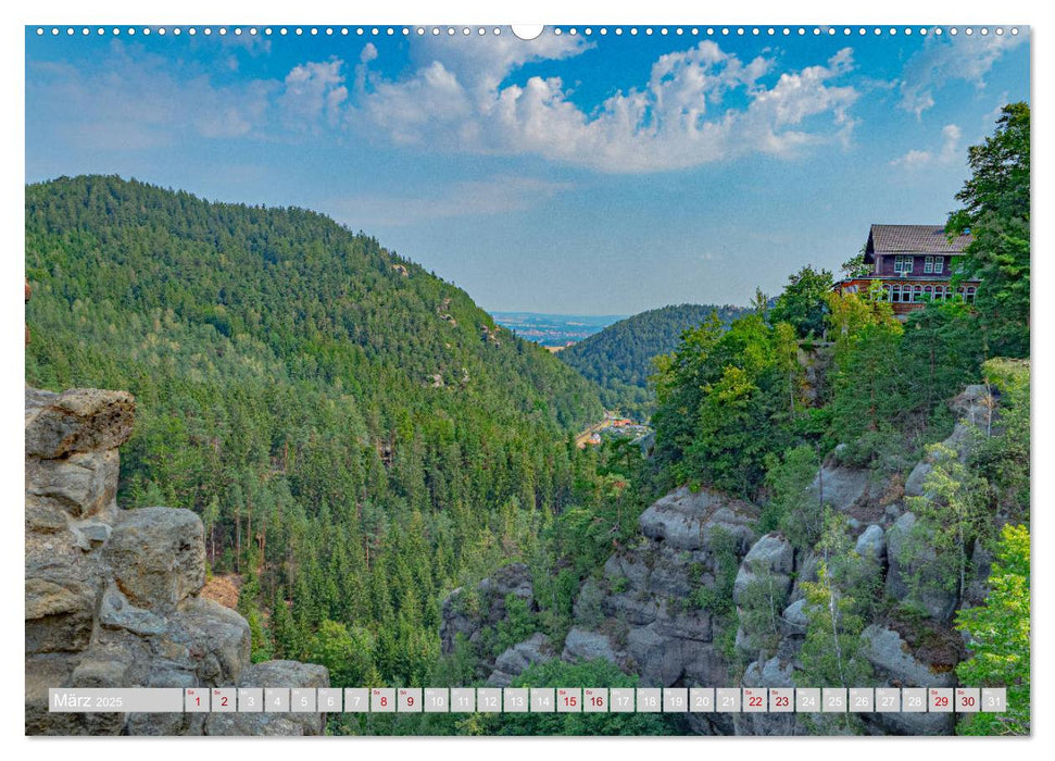 Naturpark Zittauer Gebirge (CALVENDO Premium Wandkalender 2025)