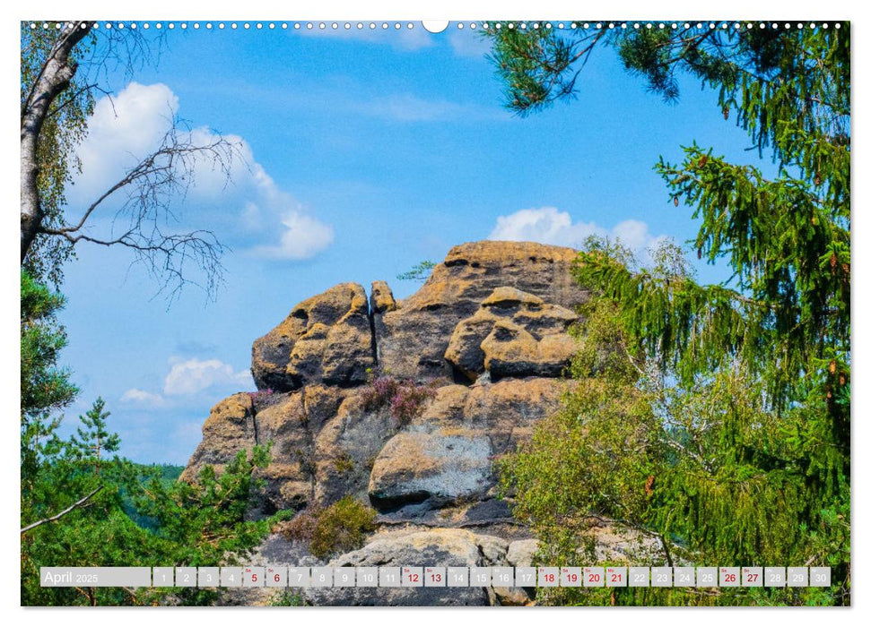 Naturpark Zittauer Gebirge (CALVENDO Premium Wandkalender 2025)