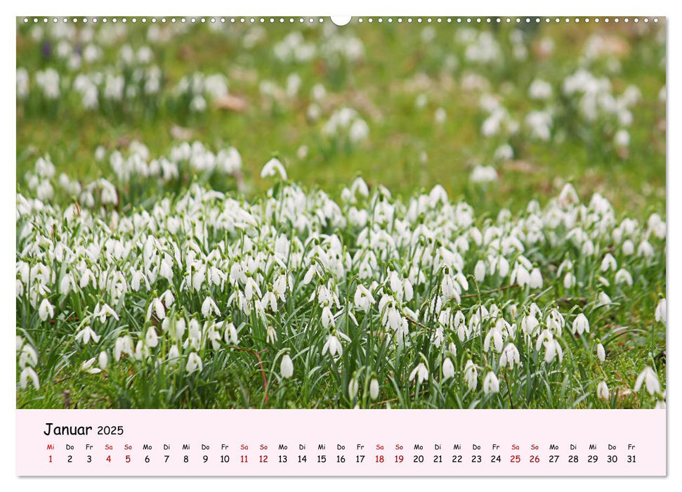 Blüten - in Hülle und Fülle (CALVENDO Premium Wandkalender 2025)