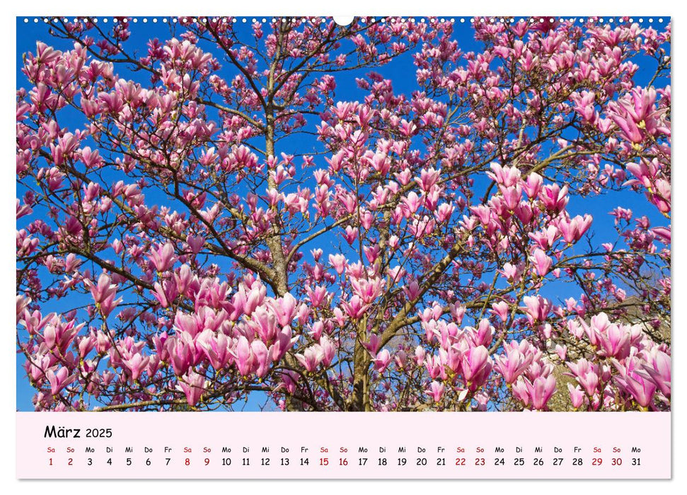 Blüten - in Hülle und Fülle (CALVENDO Premium Wandkalender 2025)