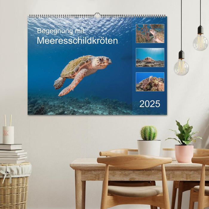 Begegnung mit Meeresschildkröten (CALVENDO Wandkalender 2025)