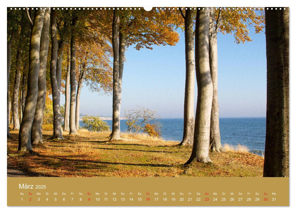 Mön, Impressionen einer dänischen Insel (CALVENDO Premium Wandkalender 2025)