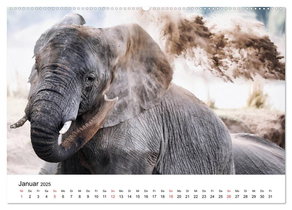 Namibias Elefanten (CALVENDO Premium Wandkalender 2025)