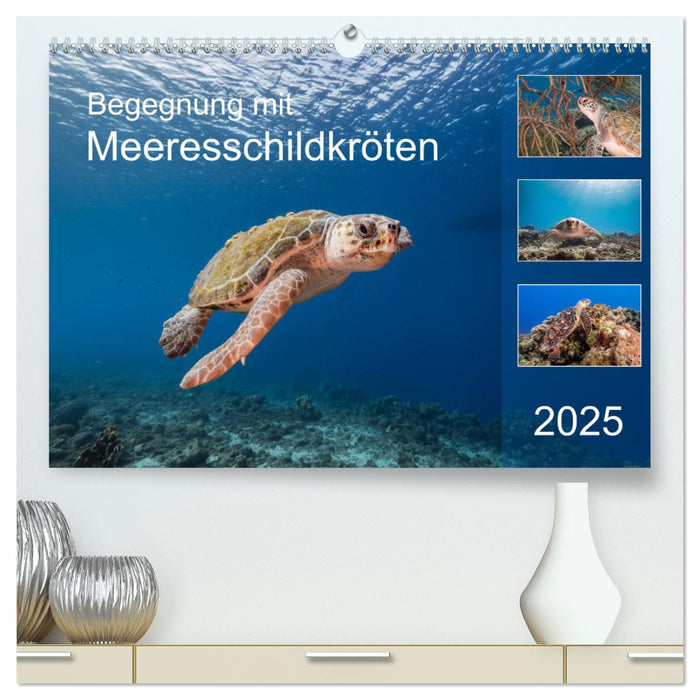 Begegnung mit Meeresschildkröten (CALVENDO Premium Wandkalender 2025)