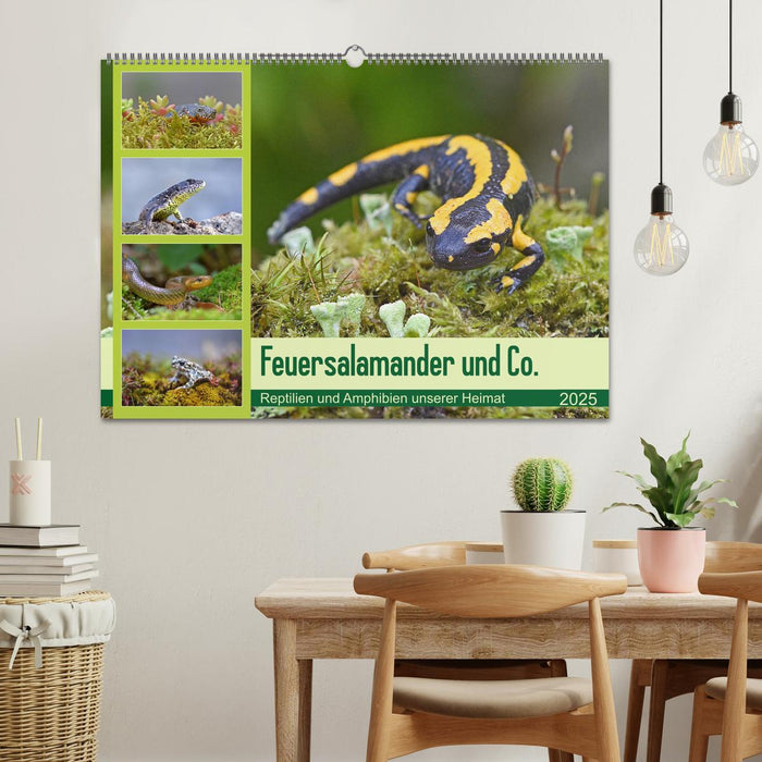 Feuersalamander und Co. (CALVENDO Wandkalender 2025)