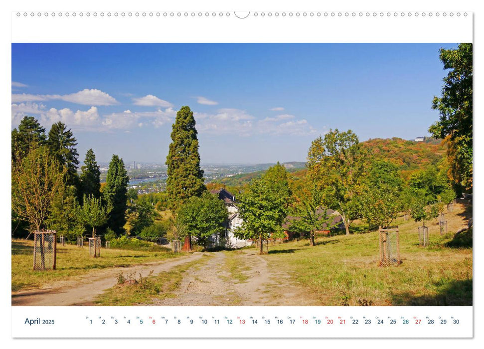 Königswinter. Drachenfels und Rheinromantik (CALVENDO Premium Wandkalender 2025)