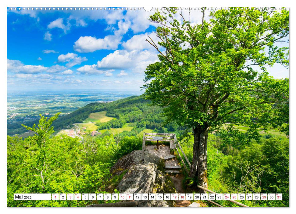 Idyllischer Schwarzwald (CALVENDO Premium Wandkalender 2025)