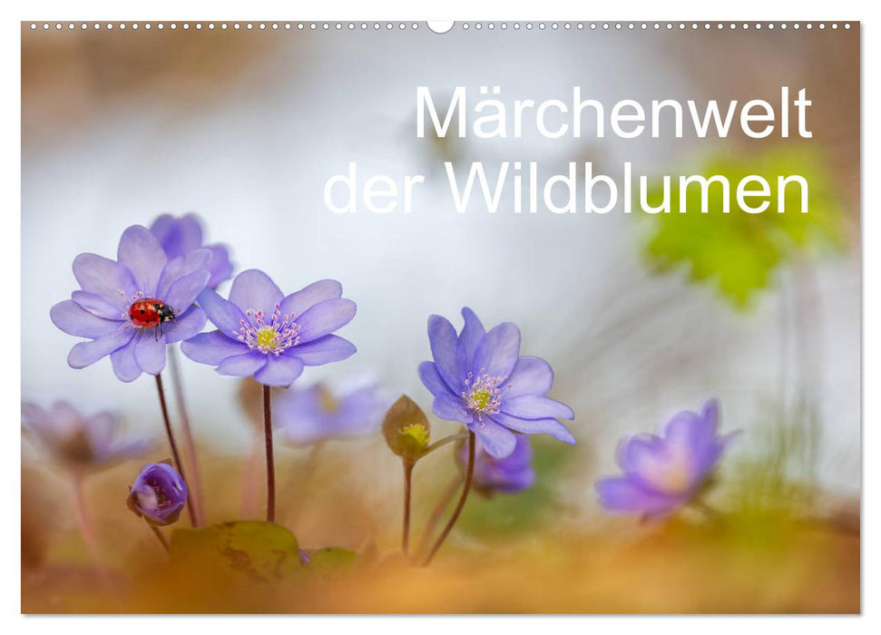 Märchenwelt der Wildblumen (CALVENDO Wandkalender 2025)