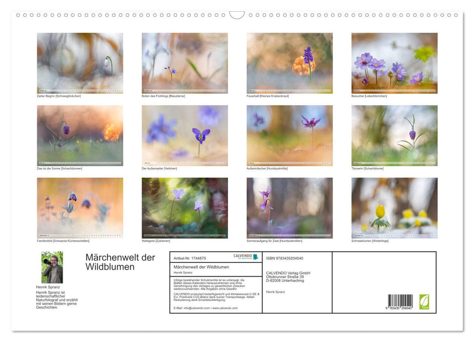 Märchenwelt der Wildblumen (CALVENDO Wandkalender 2025)