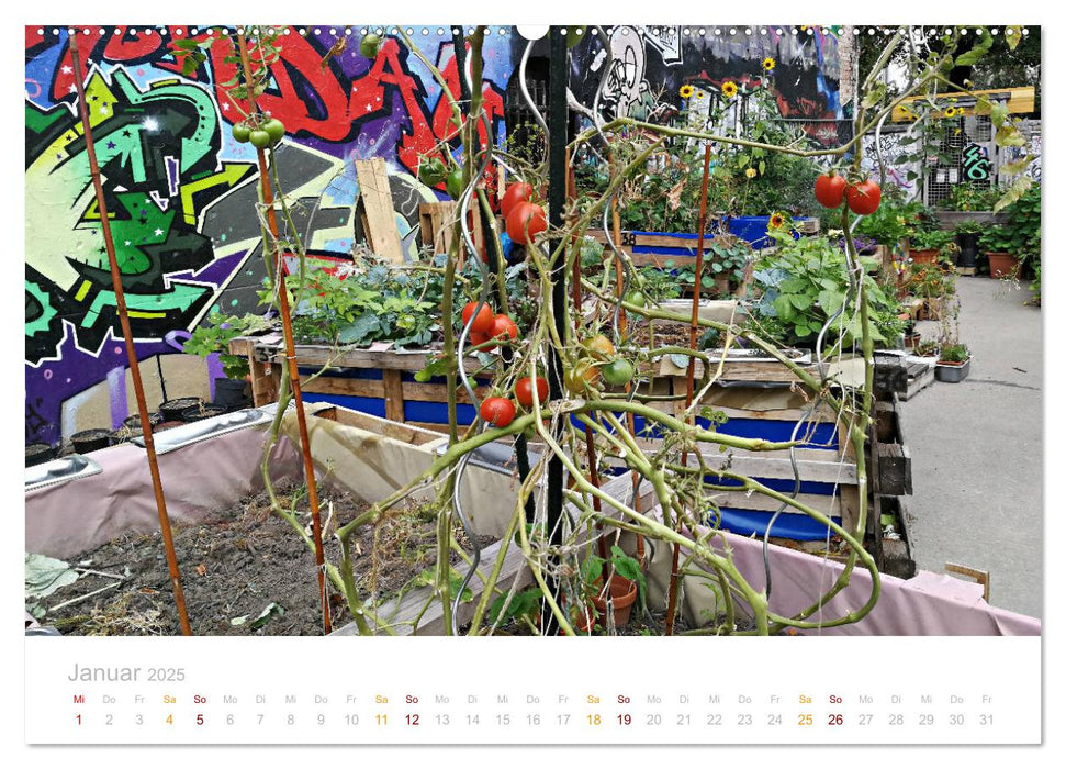 GRAFFITI GARTEN (CALVENDO Premium Wandkalender 2025)