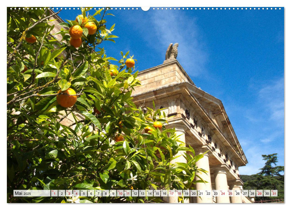 Insel Elba Impressionen (CALVENDO Premium Wandkalender 2025)