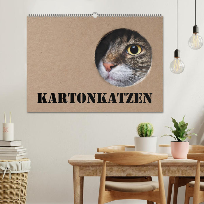 Karton Katzen (CALVENDO Wandkalender 2025)