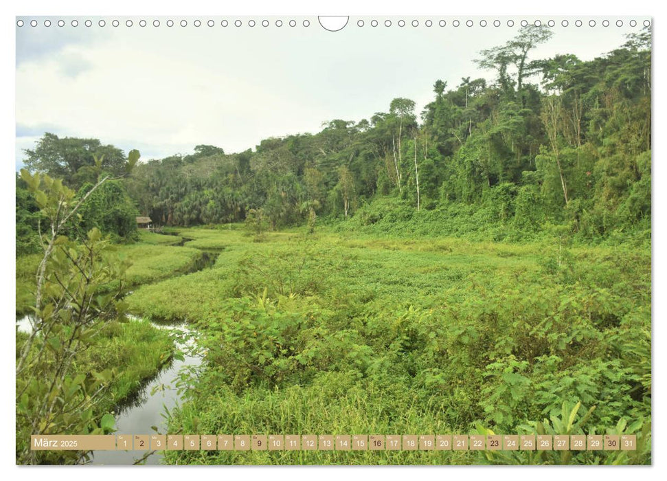 Bunte Wunder der Natur (CALVENDO Wandkalender 2025)