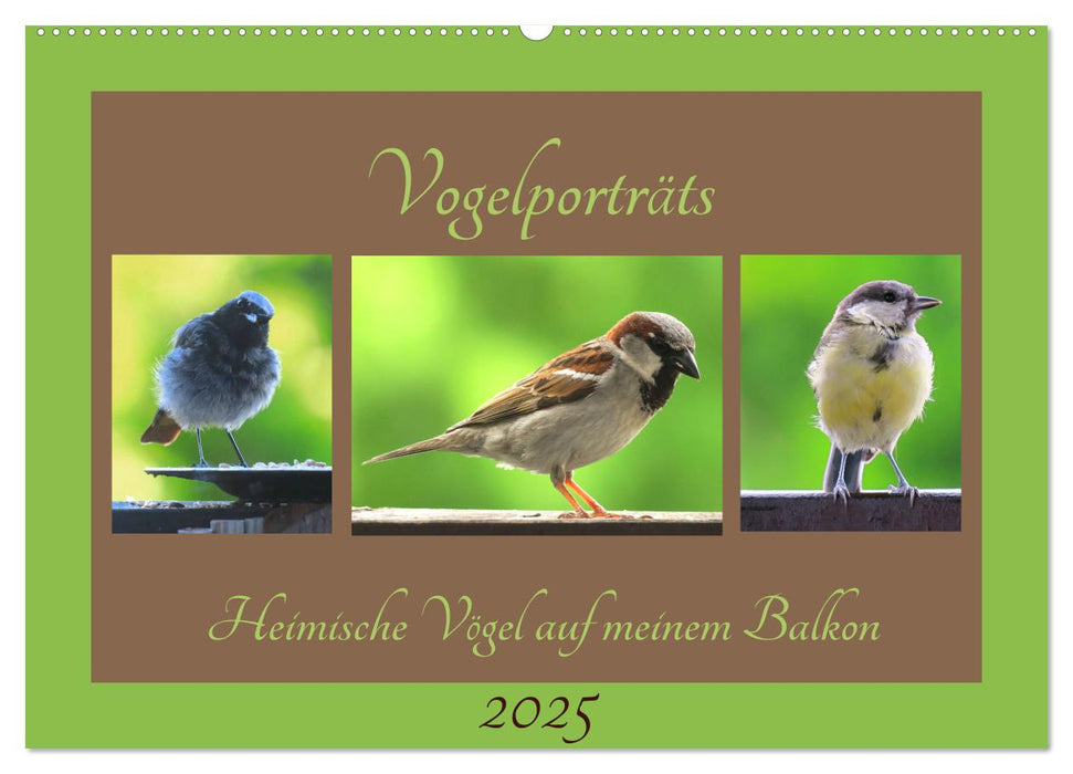 Vogelporträts - Heimische Vögel auf meinem Balkon (CALVENDO Wandkalender 2025)