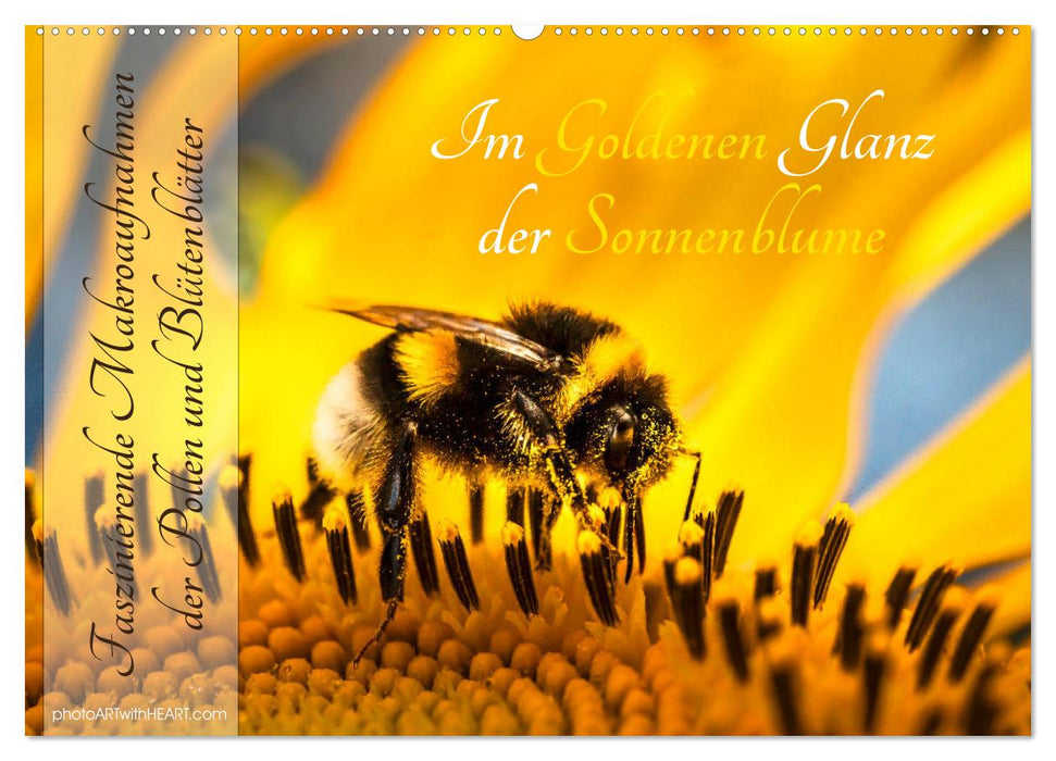 Im Goldenen Glanz der Sonnenblume (CALVENDO Wandkalender 2025)