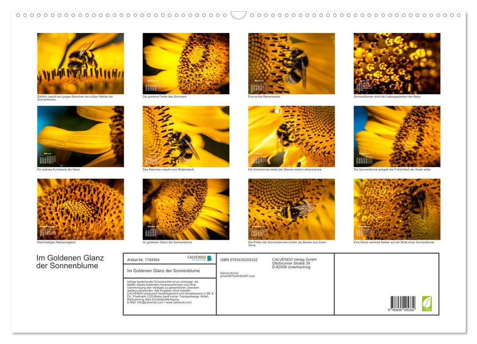 Im Goldenen Glanz der Sonnenblume (CALVENDO Wandkalender 2025)