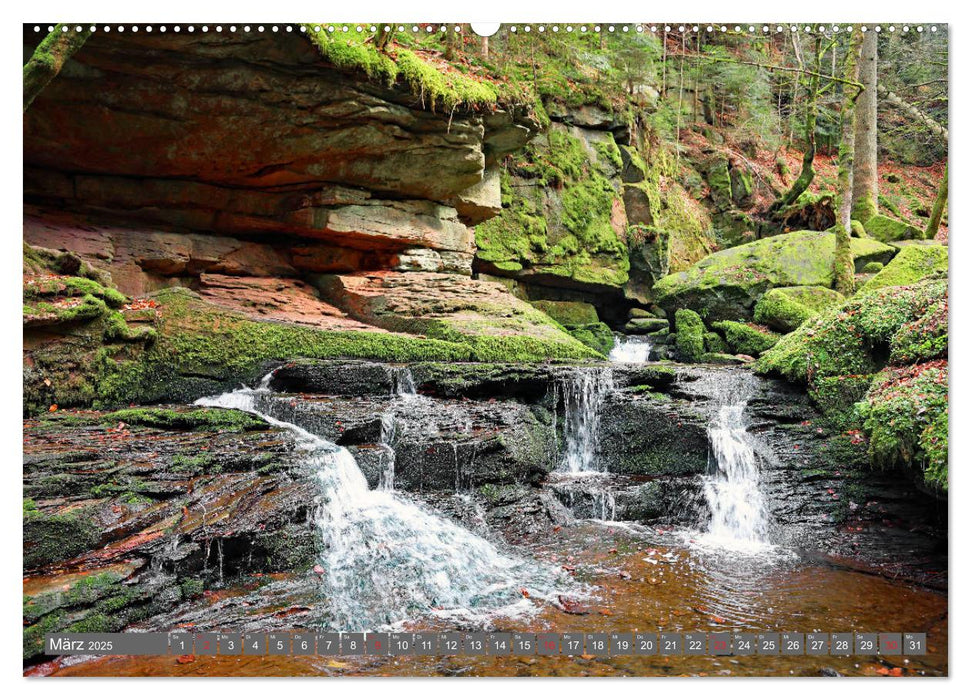 Schwarzwald-Wanderungen (CALVENDO Premium Wandkalender 2025)