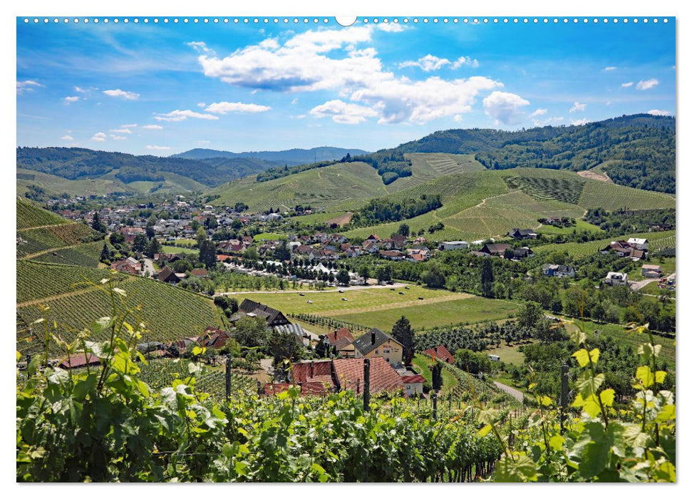 Schwarzwald-Wanderungen (CALVENDO Premium Wandkalender 2025)