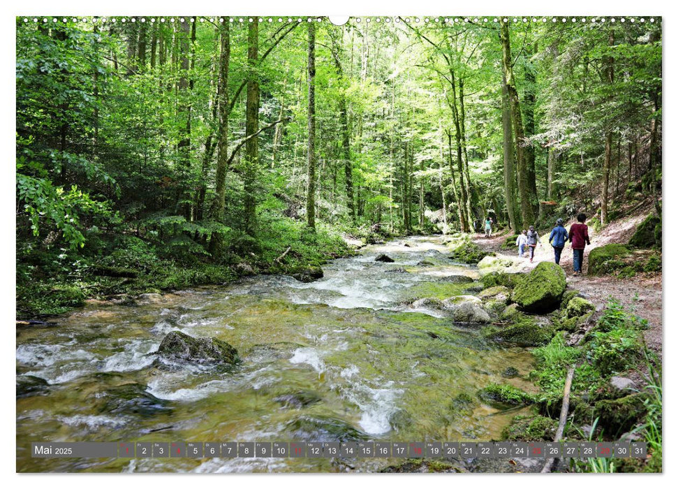 Schwarzwald-Wanderungen (CALVENDO Premium Wandkalender 2025)