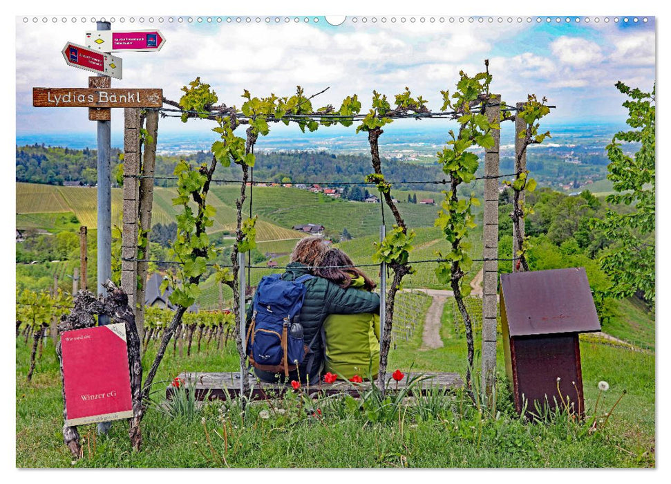 Schwarzwald-Wanderungen (CALVENDO Premium Wandkalender 2025)