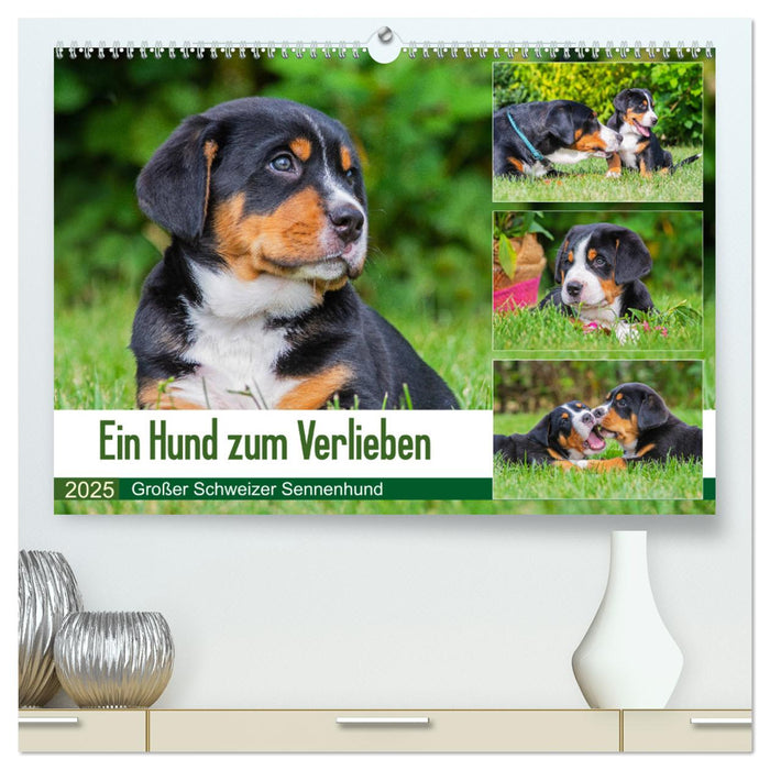 Ein Hund zum Verlieben - Großer Schweizer Sennenhund (CALVENDO Premium Wandkalender 2025)