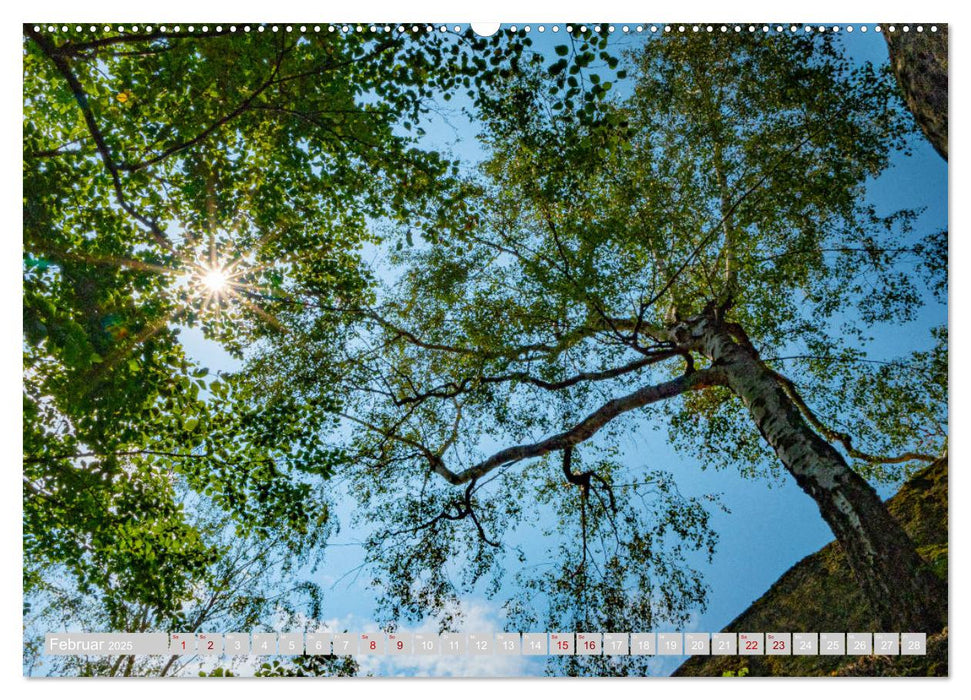 Naturpark Zittauer Gebirge (CALVENDO Wandkalender 2025)