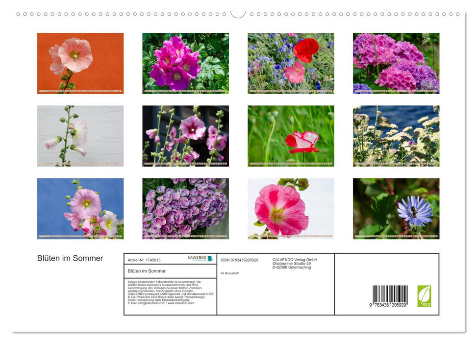 Blüten im Sommer (CALVENDO Premium Wandkalender 2025)