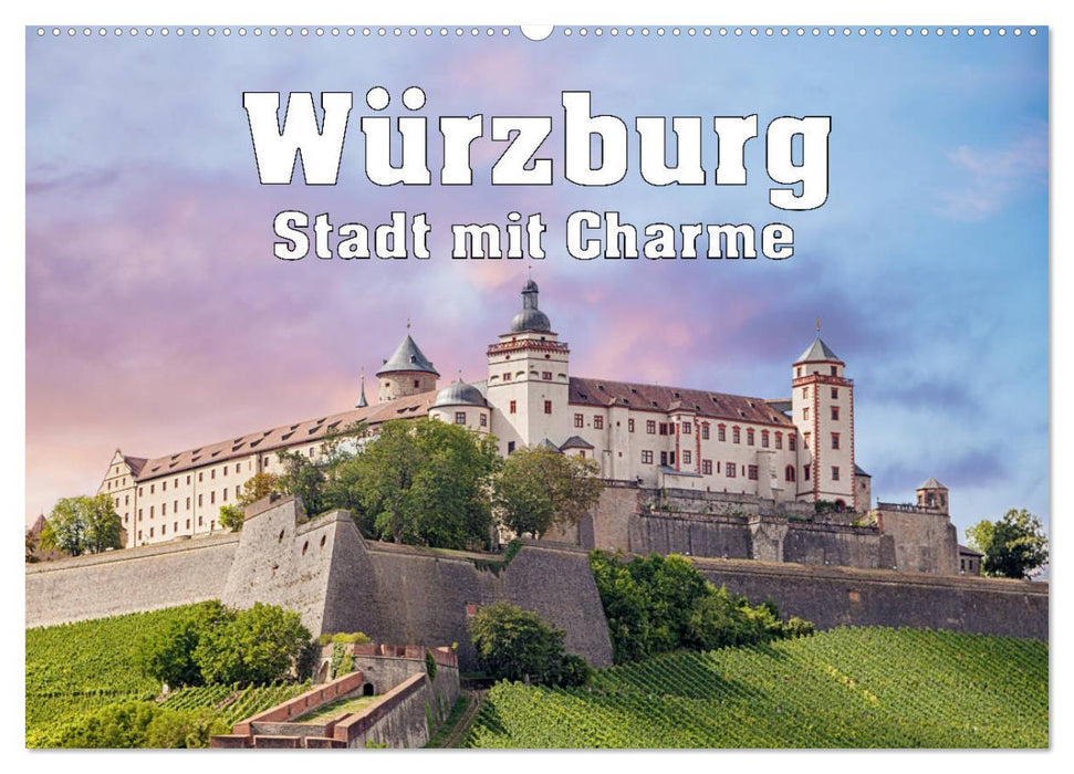 Würzburg - Stadt mit Charme (CALVENDO Wandkalender 2025)