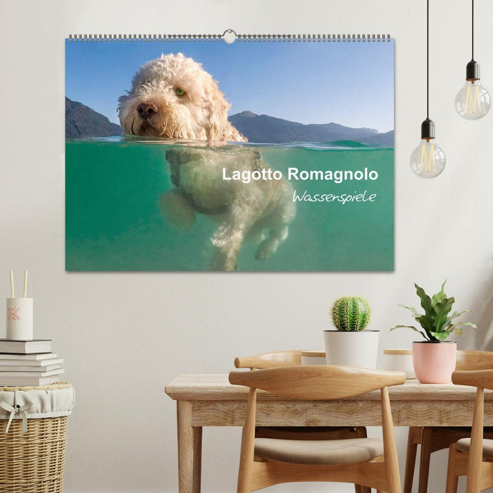 Lagotto Romagnolo - Wasserspiele (CALVENDO Wandkalender 2025)